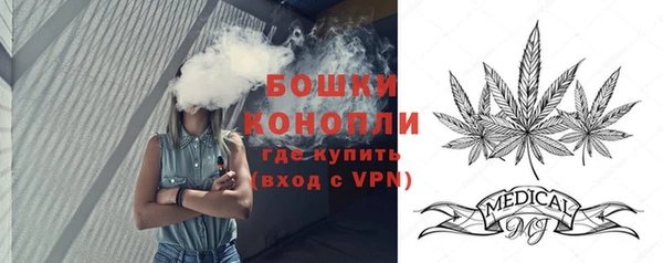 индика Белоозёрский
