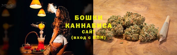 индика Белоозёрский