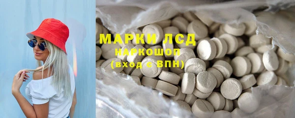 бошки Белокуриха