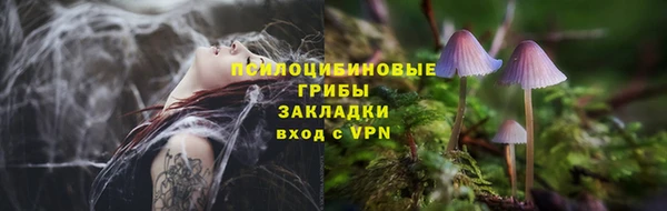 индика Белоозёрский