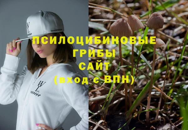 бошки Белокуриха
