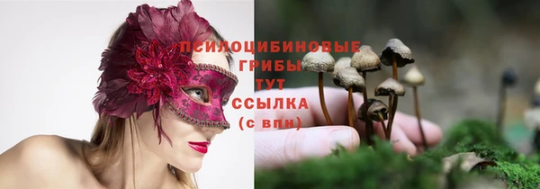 не бодяженный Беломорск
