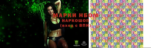 бошки Белокуриха