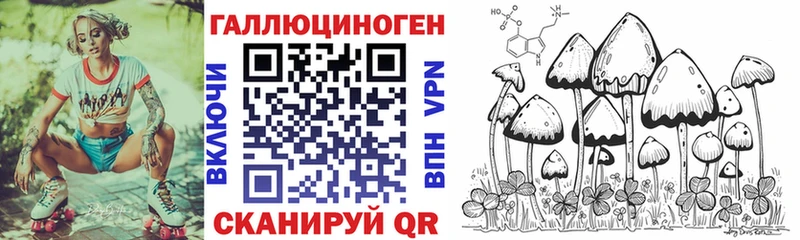 Псилоцибиновые грибы Magic Shrooms  где можно купить   Верхний Тагил 